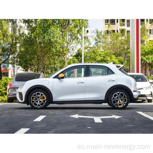 Vehículo eléctrico chino Goodcat GT EV 5 puertas 5 asientos Car Smart Car